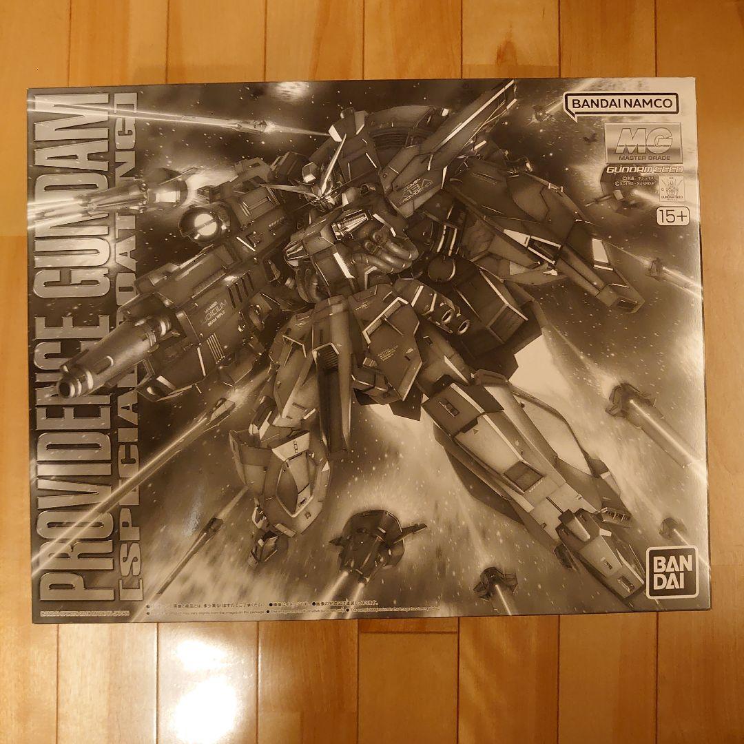 ＭＧ 1/100 プロヴィデンスガンダム [スペシャルコーティング] 【再販】
