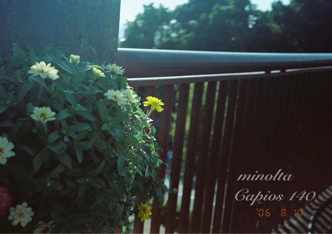 フィルム入門に！minolta capios140★超美品！初期保証付き