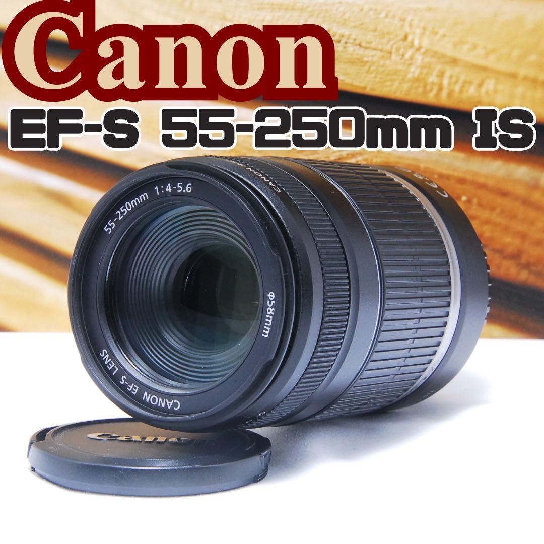 一眼レフ 望遠レンズ キャノン 55-250mm is