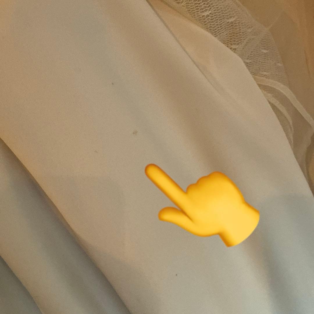 専用のお品　中古　RED VALLENTINO 40 スカート