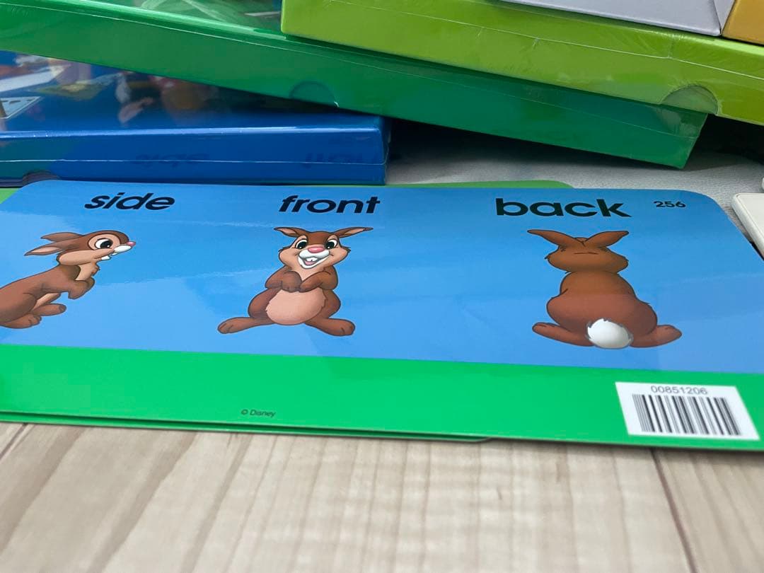 DWE ディズニー英語システム　トークアロング　Q&Aカードセット 美品　617