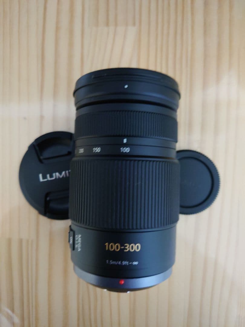 LUMIX ルミックス 100-300mm 4.0-5.6 H-FS100300
