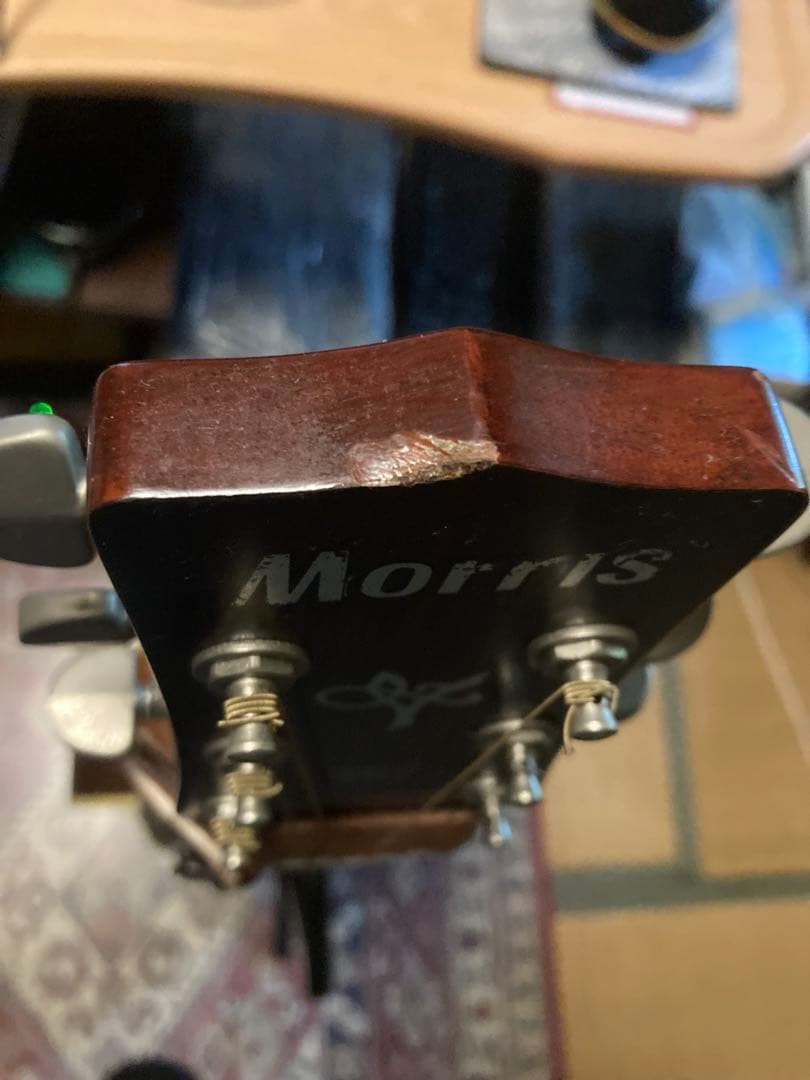 Morris MV-701 アコースティックギター