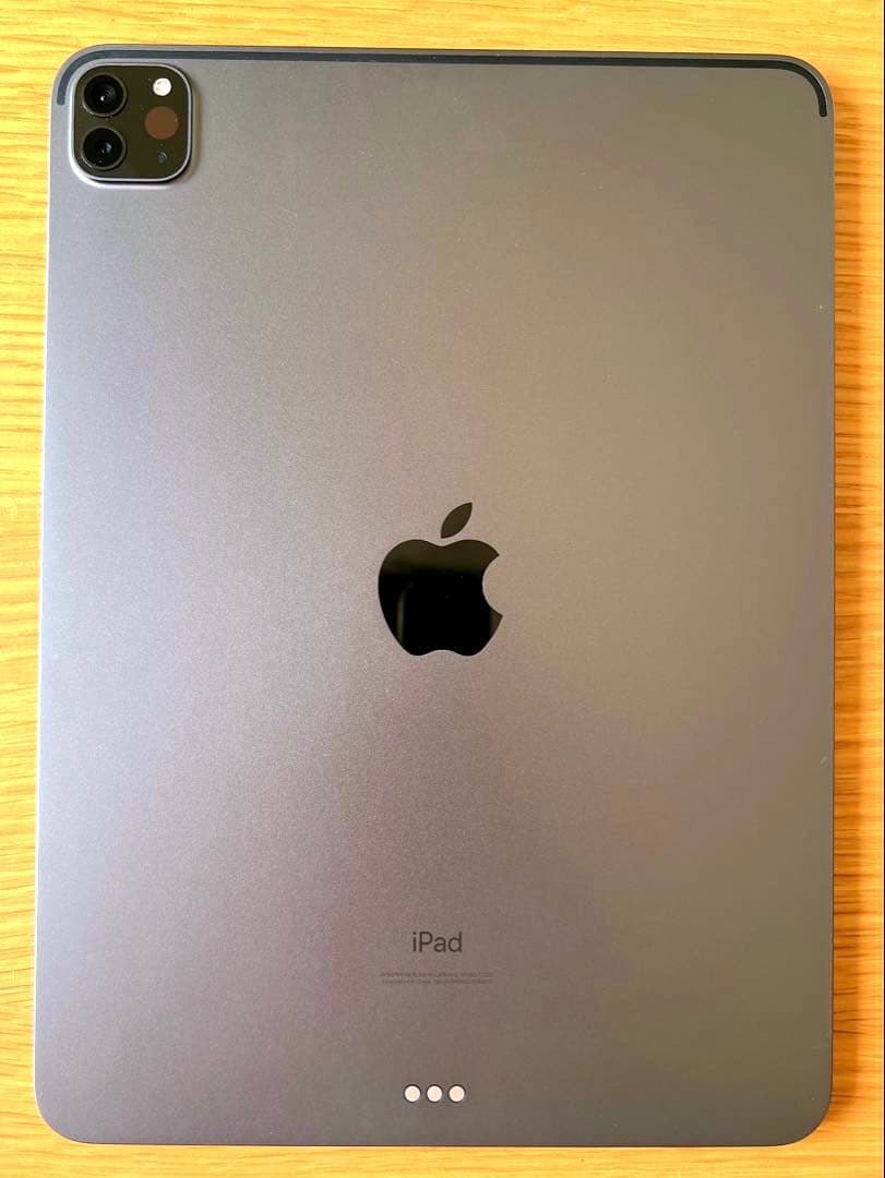Apple iPad Pro 11インチ　第二世代　MXDC2J/A