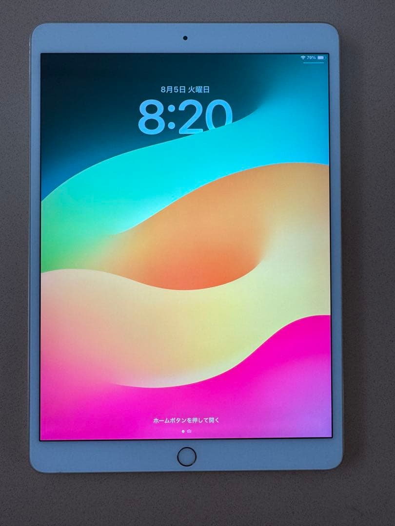 Ipad Pro 10.5インチ256GB