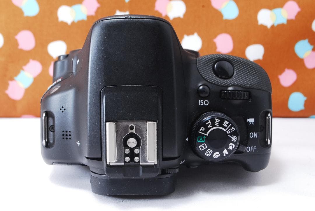 ✨初心者オススメ✨スマホ転送可能✨Canon kiss X7 ダブルレンズセット