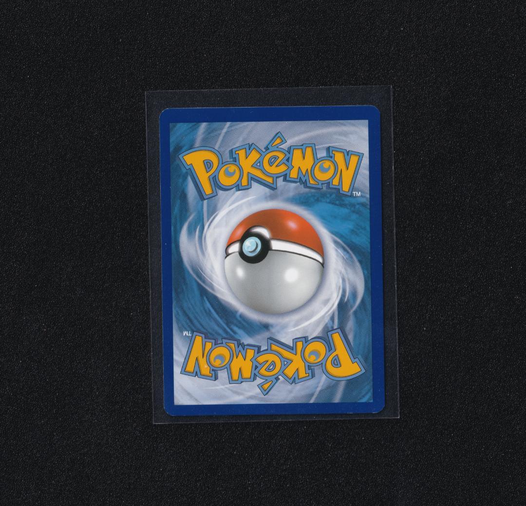 英版ブラッキー XY★プロモ