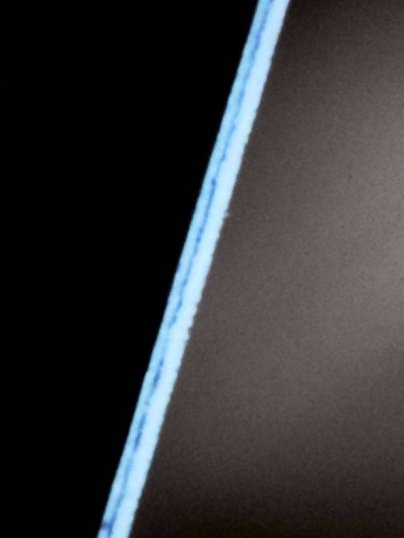 マジック：ザ・ギャザリング MTG secret lair Blacker Lotus foil