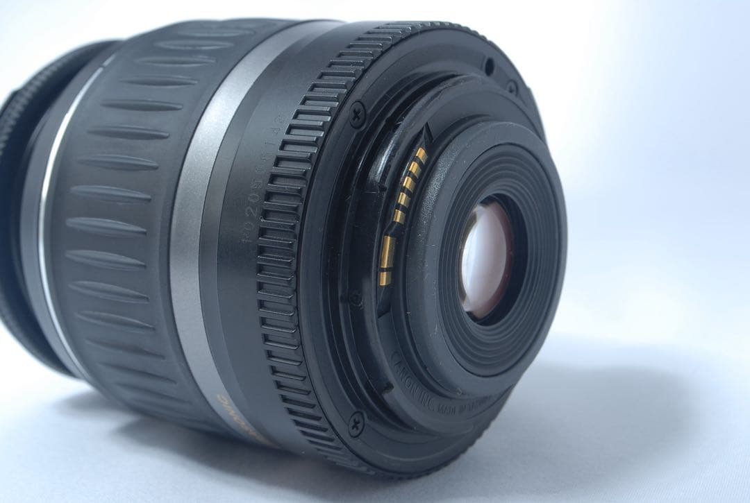 キャノン 一眼レフ Canon EOS 7D Mark II ダブル 望遠レンズ