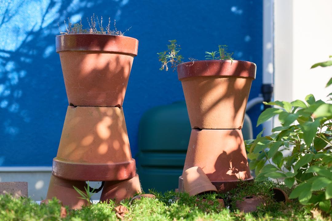 フィルムカメラ Nikon FE / Ai NIKKOR 50mm F1.4