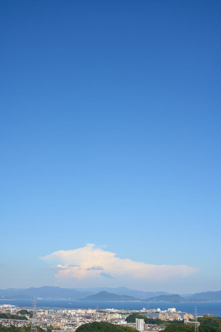 フィルムカメラ Nikon FE / Ai NIKKOR 50mm F1.4