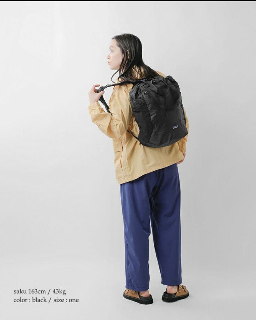 【最新25】パタゴニア テラヴィア トートパック 24L 新品国内正規品