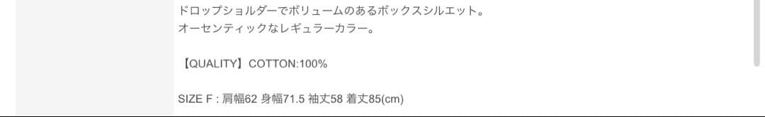 graphpaper Oversized Shirt グラフペーパー