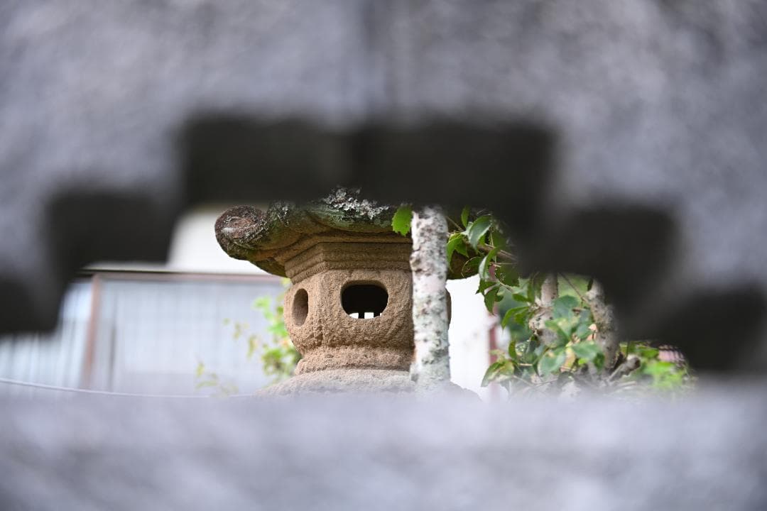 レンズ(ズーム) Nikon AF-S N NIKKOR 24-70mm F2.8G ED