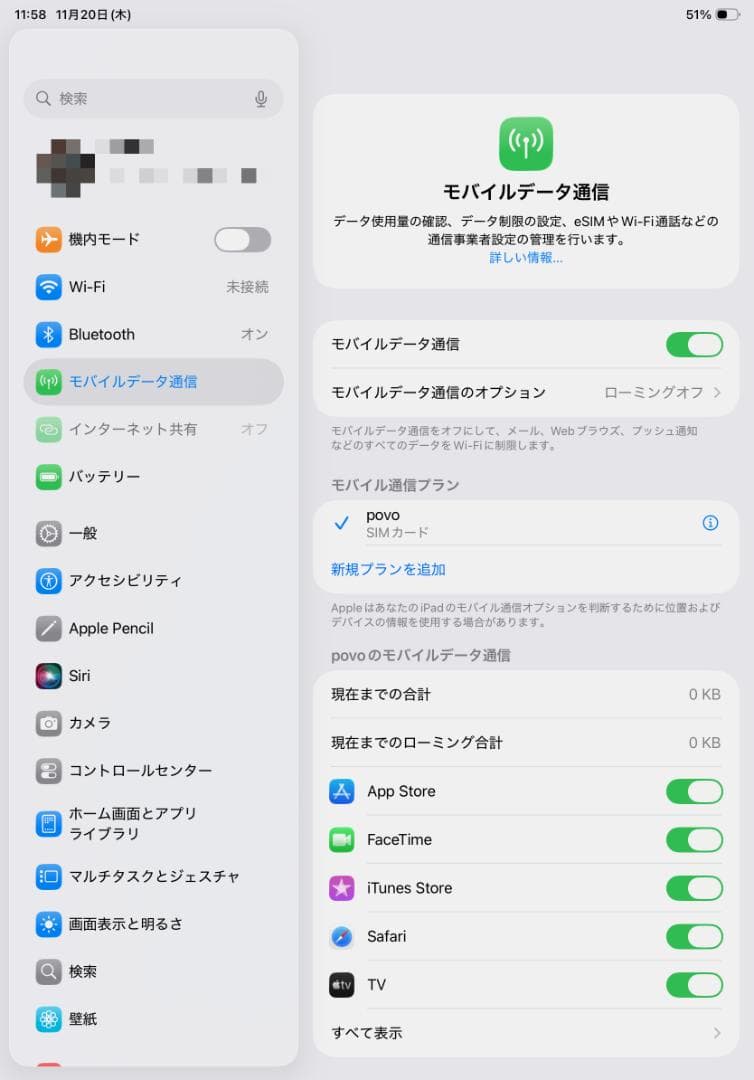 iPad Pro 11 256GB Wi-Fi+Cellular （第1世代）