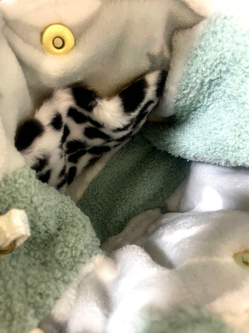 j*️様 コヤンイサムチョン　ハンドメイド ふわふわ　トートバック