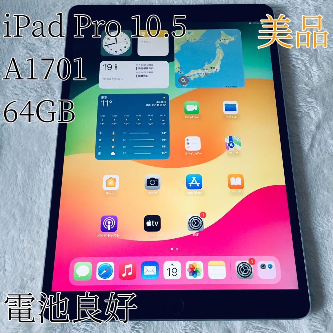 美品 iPad Pro 10.5 64GB A1701 バッテリー良好