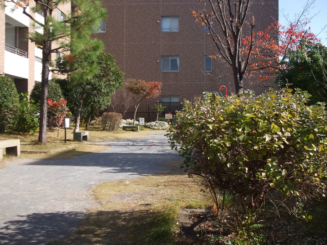 実写美⭕️外観綺麗【動作確認済み】FUJIFILM FinePix A900