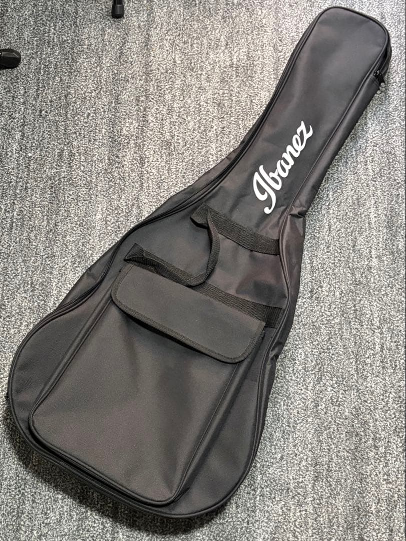 ibanez TOD10N ティム・ヘンソン　新ロゴ　エレガット