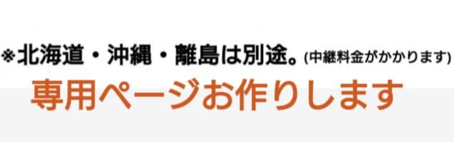 和装トルソー 着付けマネキン ベージュ　可動腕　着付け練習用ボディ　和装ボディ