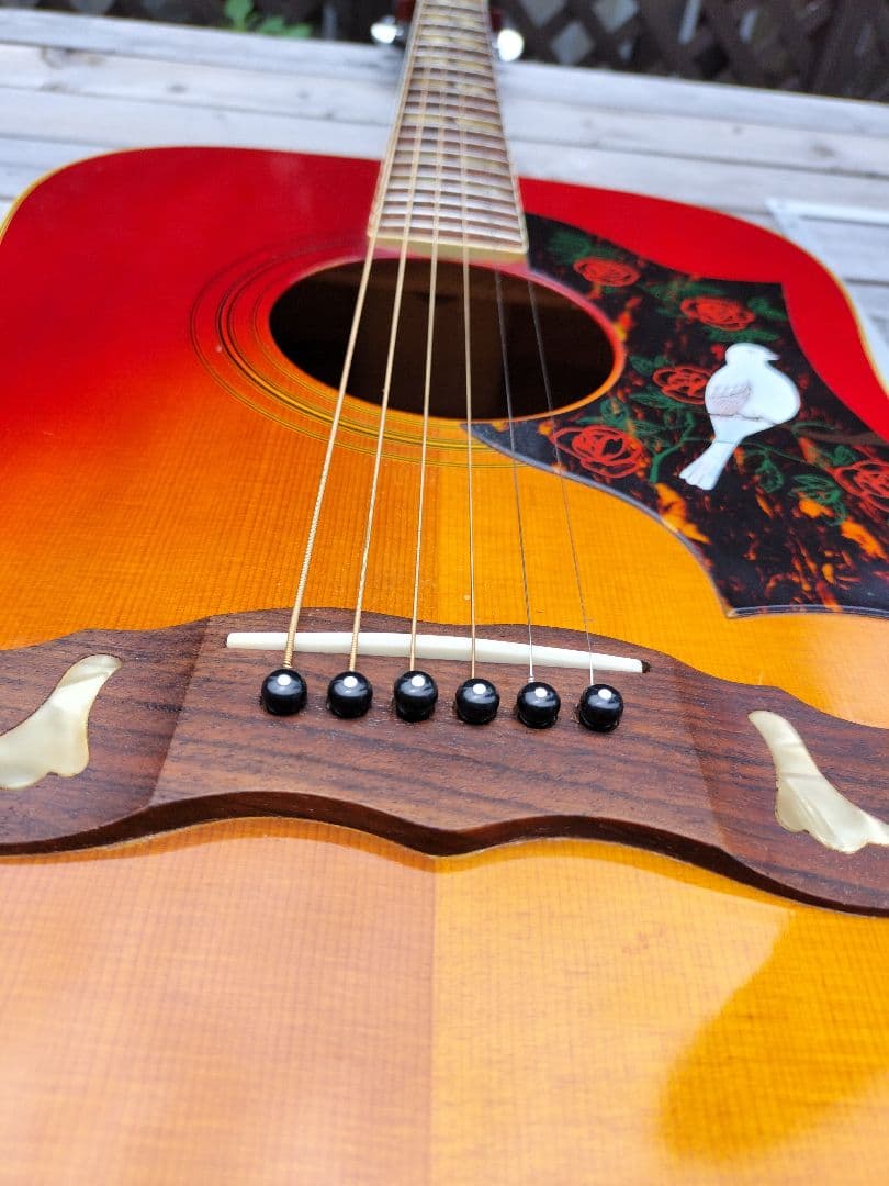 ☆美品☆Gibson　Doveモデル　Aria Custom 製造番号0067！