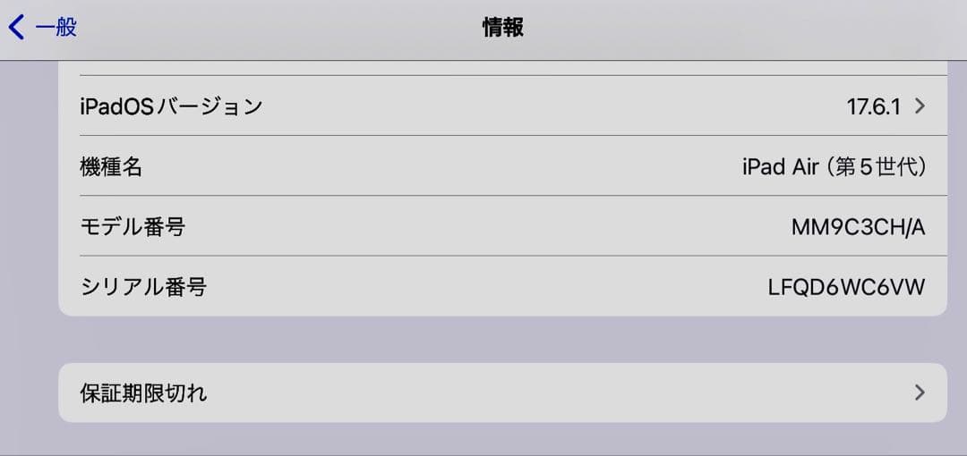 iPad本体 Apple iPad Air 5th 256G