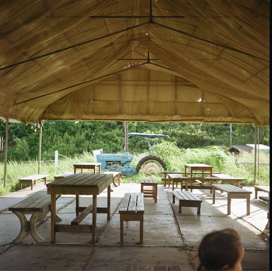 Rolleiflex Flex 二眼レフカメラ