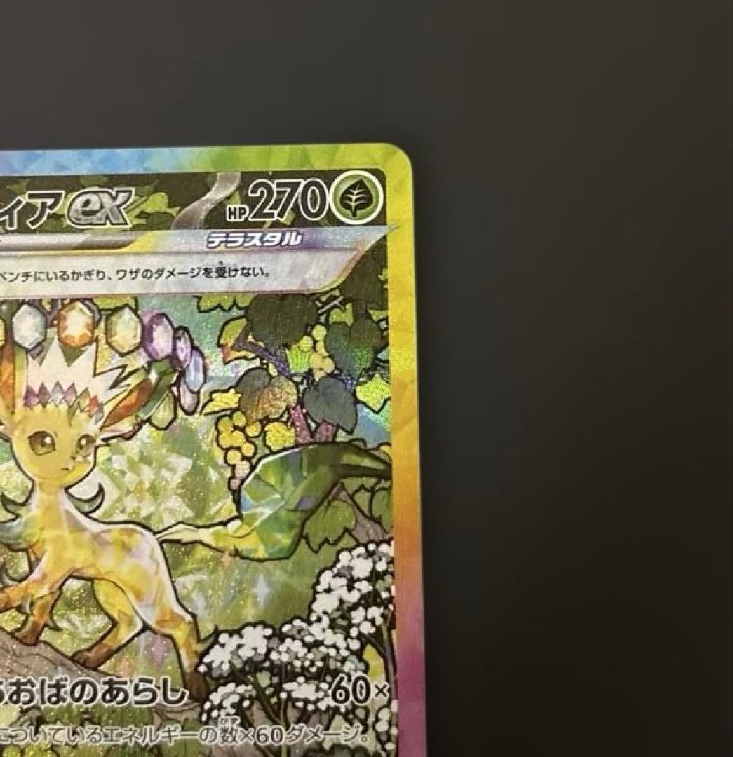 テラスタルフェスex サンダース　リーフィア　sar