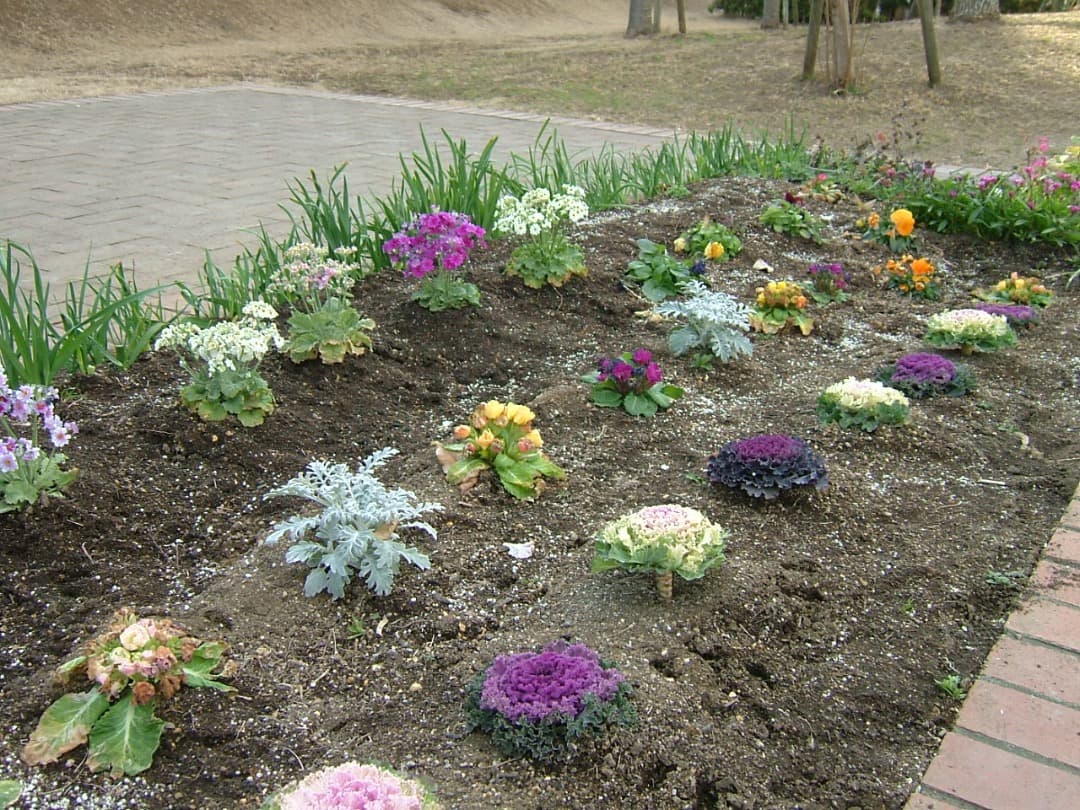 実写良⭕️美品【動作確認済み】富士フィルム FinePix F700 デジカメ