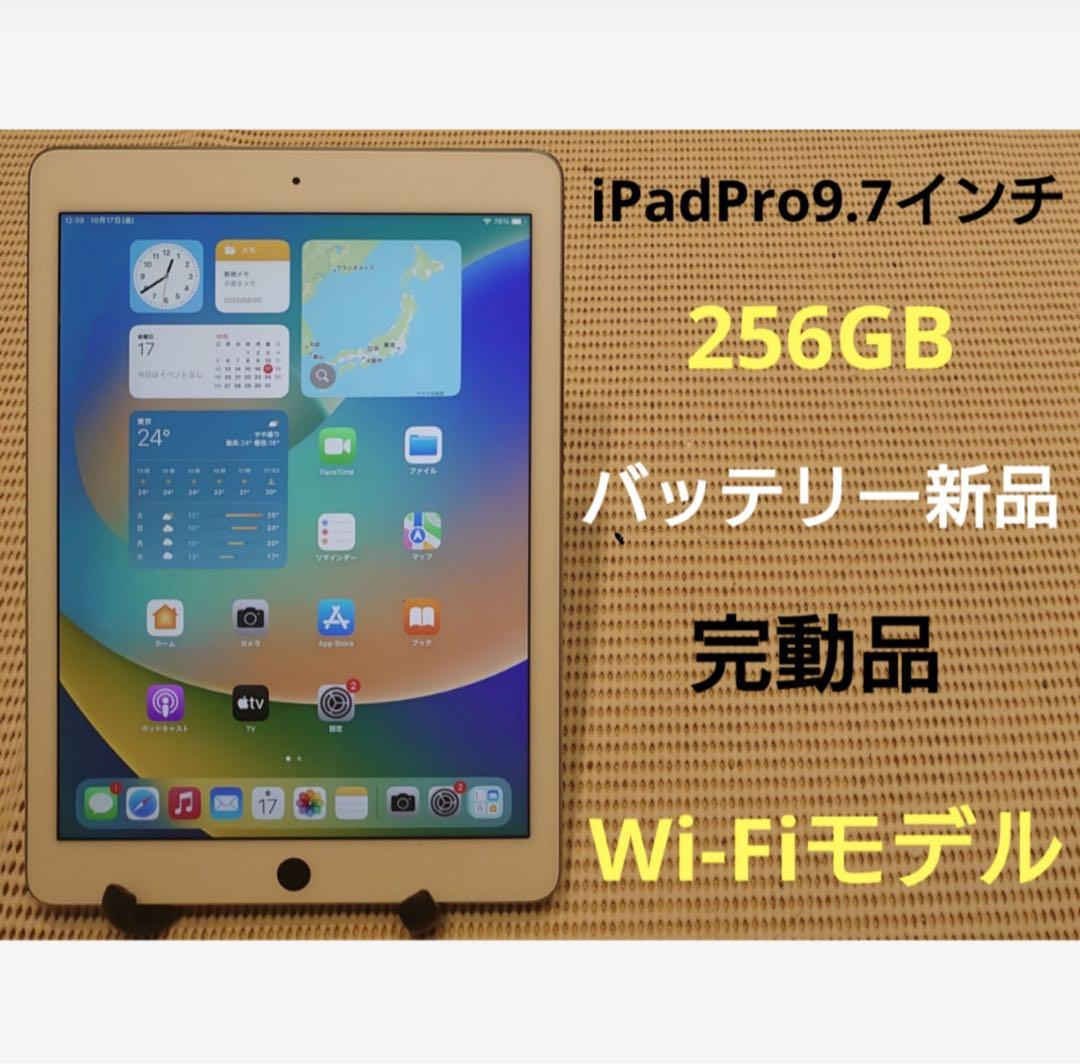 完動品iPad Pro9.7インチ(A1673)本体256GB送料込AH1MM