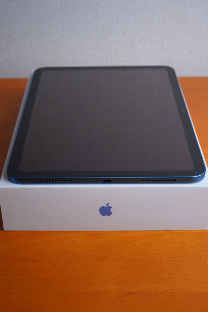 iPad(A16)/256GB/WiーFiモデル/極美品