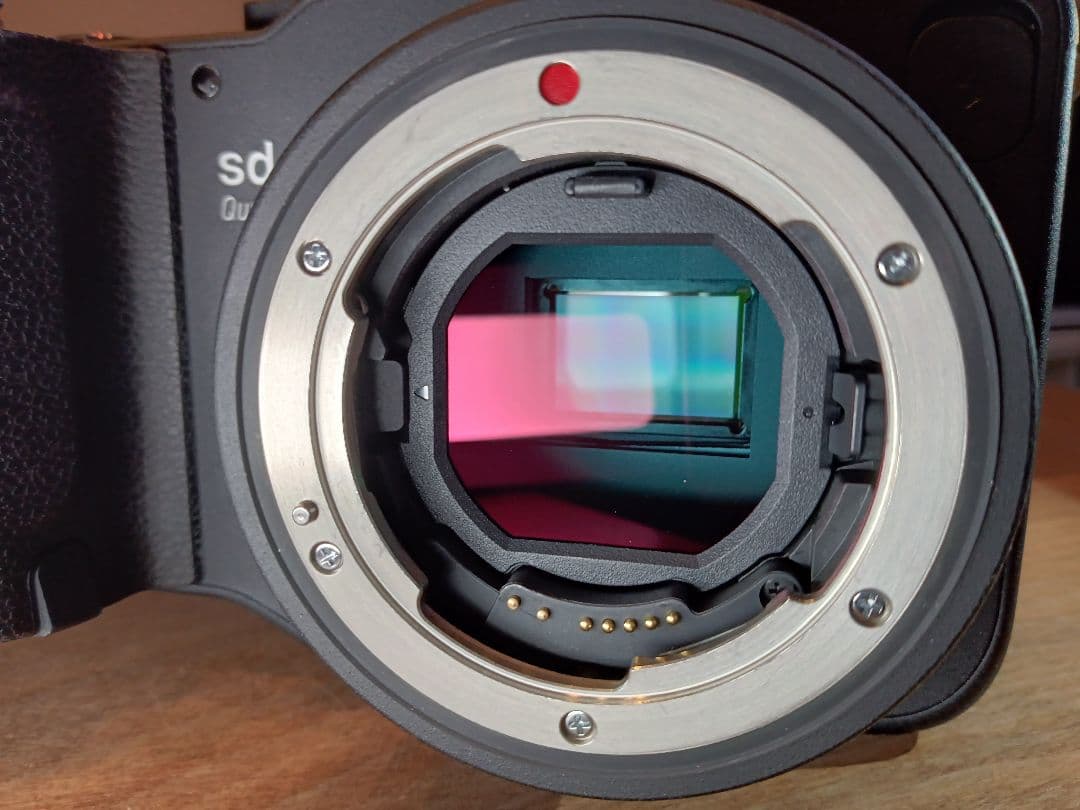 H*o様 【バッテリー計2個+SDカード】SIGMA sd quattro ボデ