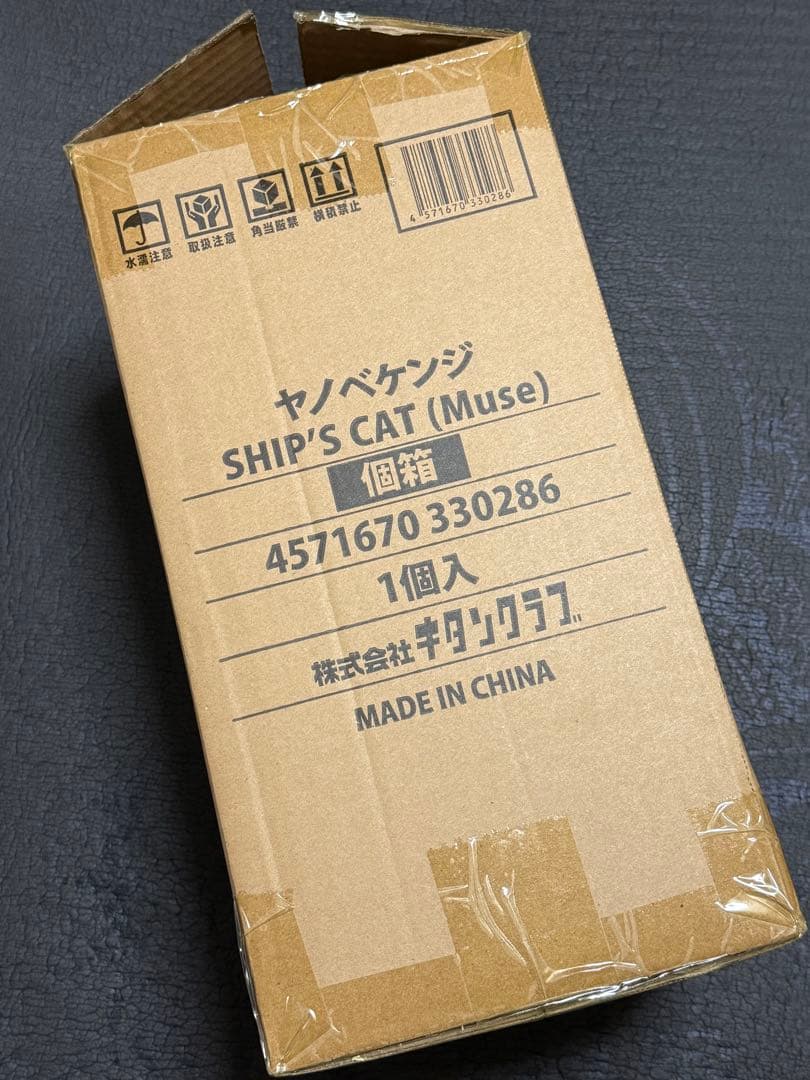 ヤノベケンジ　シップスキャット