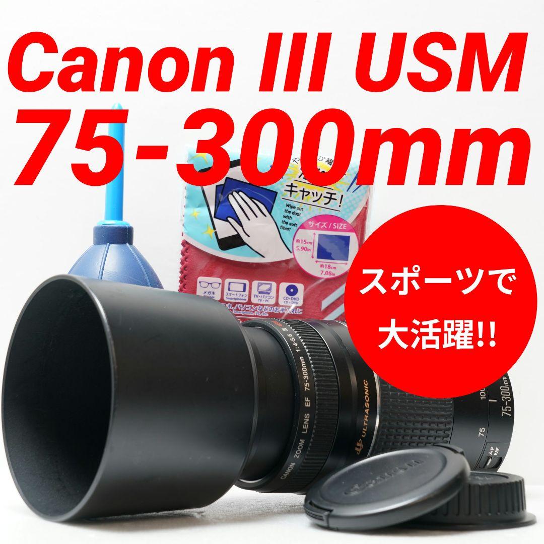 Canon EF 75-300mm III USM ズームレンズ