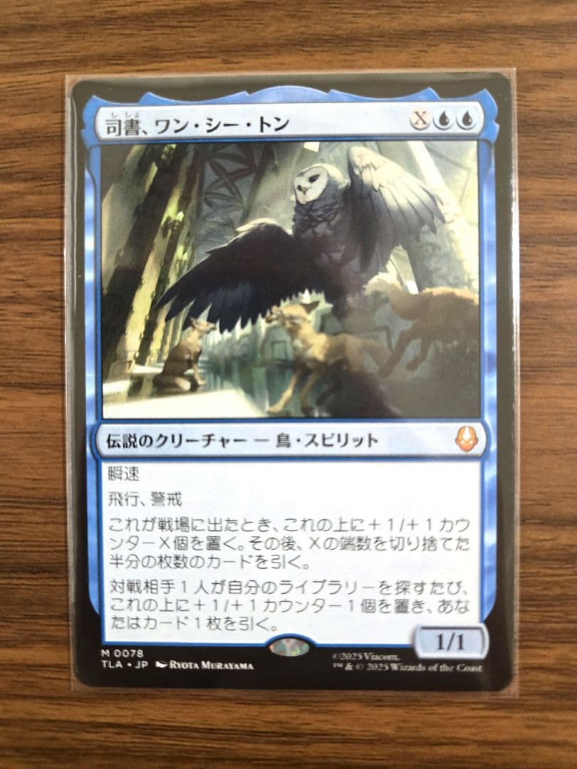 ラスト一枚【新品未使用】司書、ワン・シー・トン　日本語　アバター　伝説の少年アン