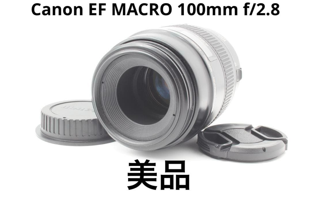 （美品）Canon EF MACRO 100mm f/2.8