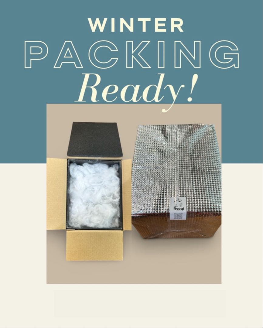 P. Madagascariense【大株】