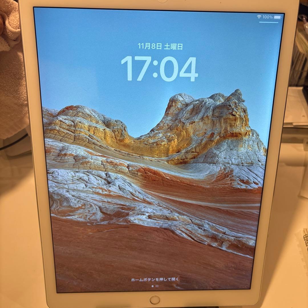 Apple iPadpro 128GB 第1世代　シルバー　Wi-Fiモデル