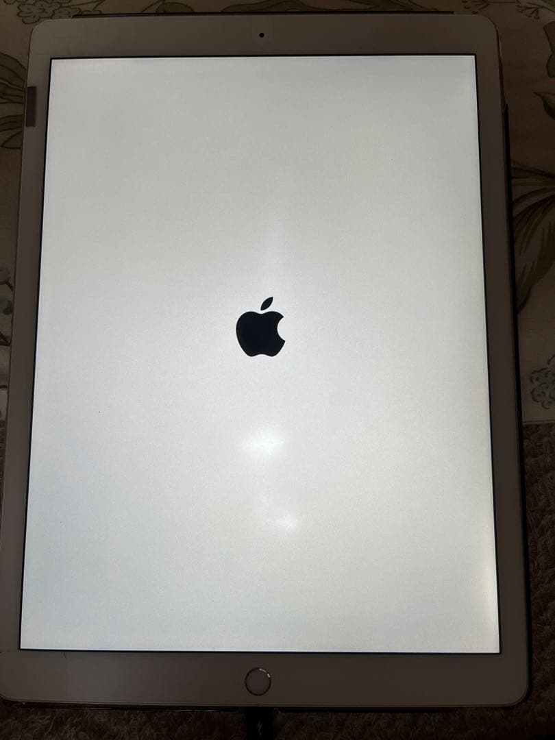 美品　iPad Pro 12.9 Wi-Fi 128GB ＋純正アップルペンシル