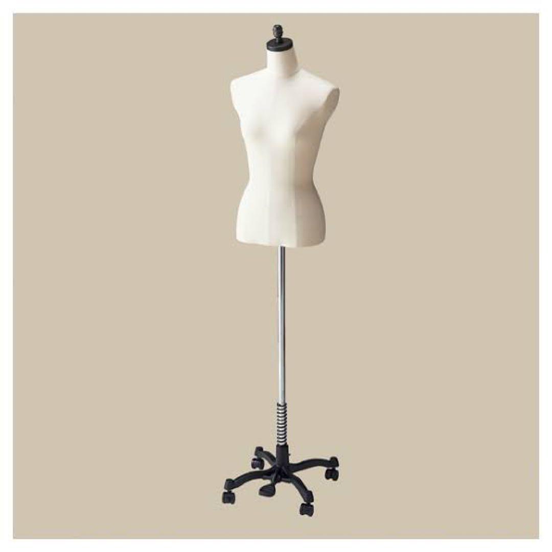 レディーストルソー　カツラギ張