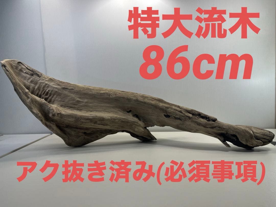 V84特大流木 アク抜き済み流木 爬虫類シェルター 登り木 インテリア 生け花