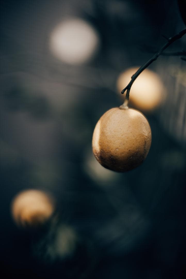 極美品！夜という名！Voigtlander NOKTON 50mm F1.1