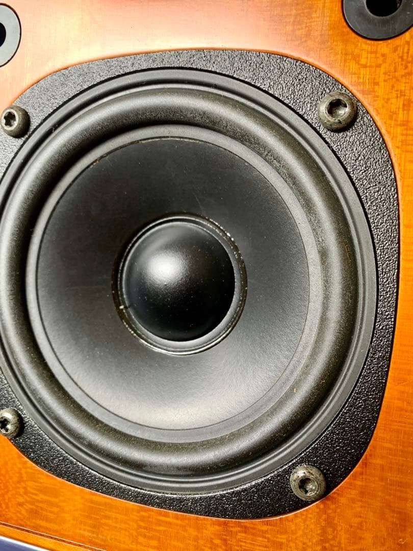 片方雑音発生　Dali  メヌエットII スピーカー