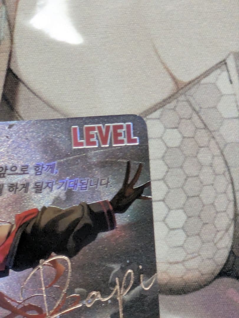 【最終値下げ】ニケ/NIKKE NIVELARENA ニベルアリーナ ラピ