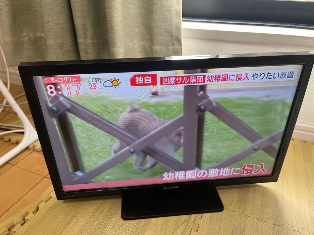 シャープ　SHARP AQUOS 2T C19DE