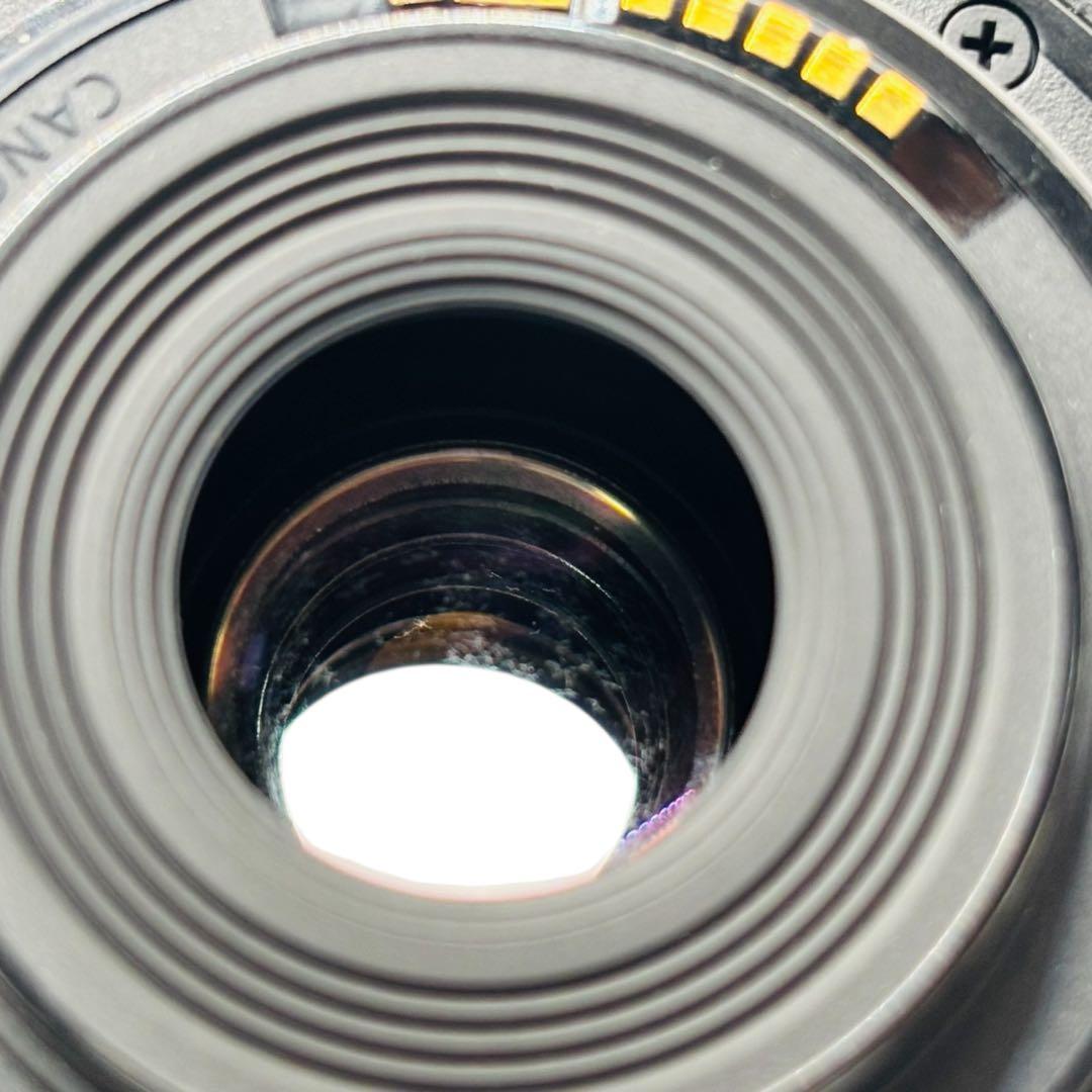 Canon EOS Kiss X5 ダブルズームキッド