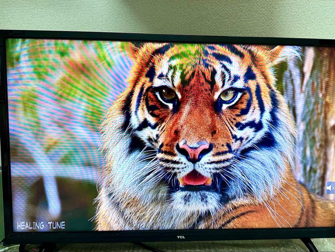 TCL フルハイビジョンスマート液晶テレビ32型　Android