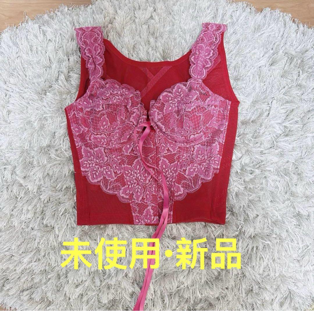 グラントイーワンズLALA　ニッパービスチェC70補正下着