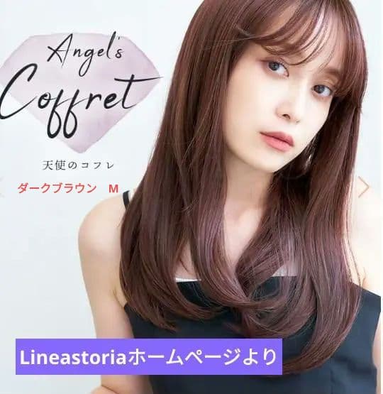 リネアストリア 天使のコフレ ダークブラウン M ロングウィッグ