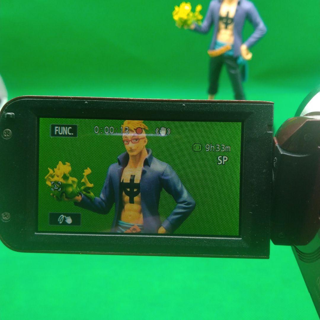 【動作確認OK】Canon キヤノン ivis HF R21 ビデオカメラ